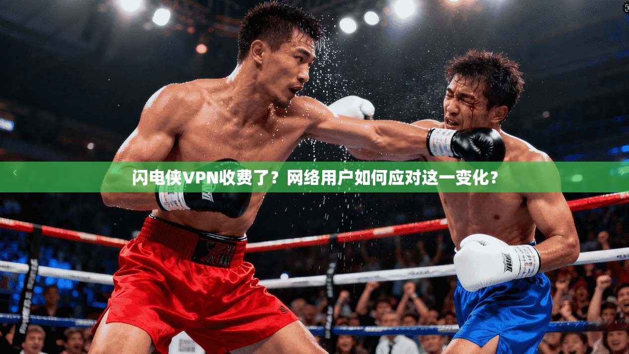 闪电侠VPN收费了？网络用户如何应对这一变化？