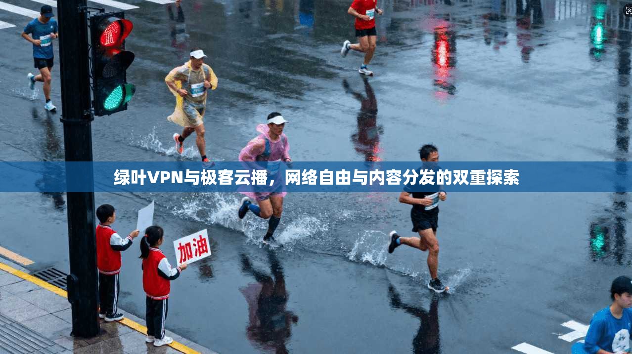 绿叶VPN与极客云播，网络自由与内容分发的双重探索