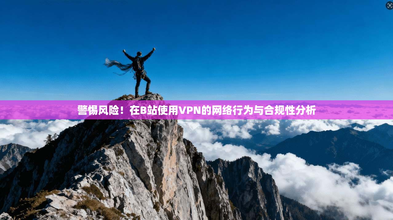 警惕风险！在B站使用VPN的网络行为与合规性分析