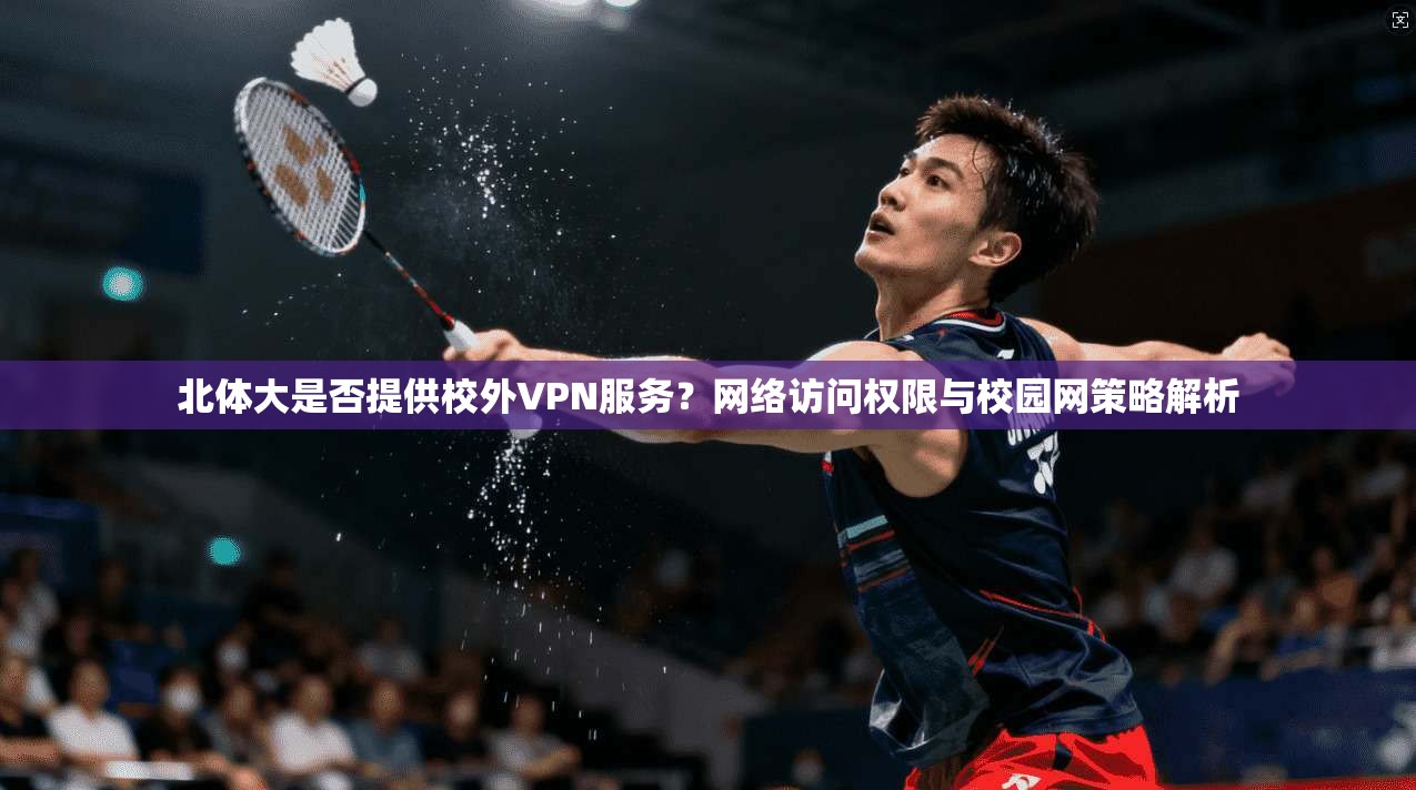 北体大是否提供校外VPN服务？网络访问权限与校园网策略解析