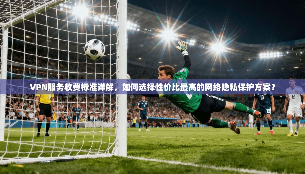 VPN服务收费标准详解，如何选择性价比最高的网络隐私保护方案？