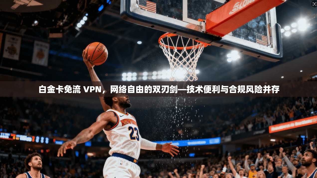 白金卡免流 VPN，网络自由的双刃剑—技术便利与合规风险并存