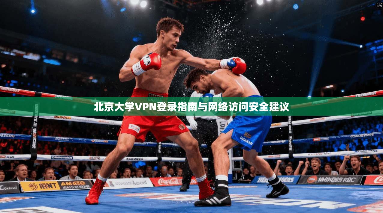 北京大学VPN登录指南与网络访问安全建议