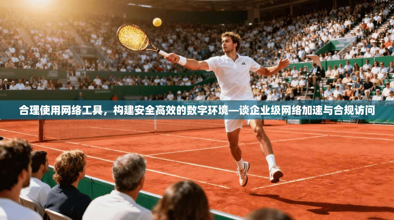 合理使用网络工具，构建安全高效的数字环境—谈企业级网络加速与合规访问
