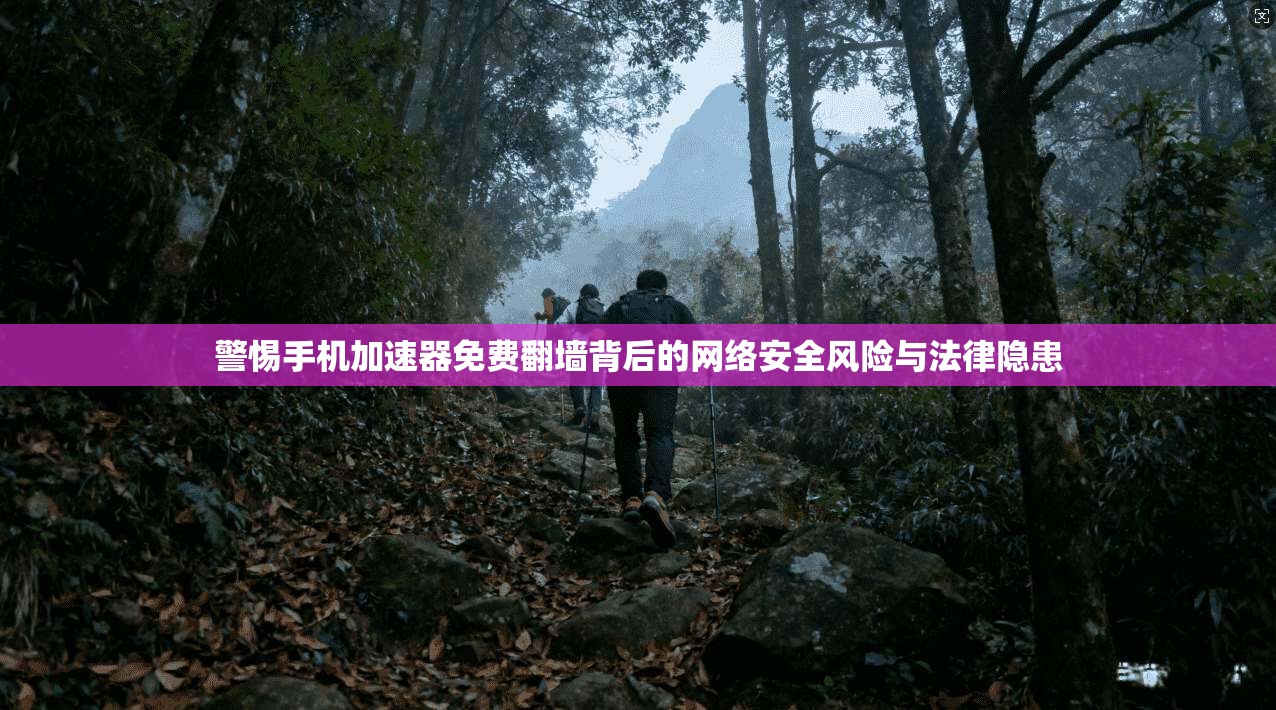 警惕手机加速器免费翻墙背后的网络安全风险与法律隐患