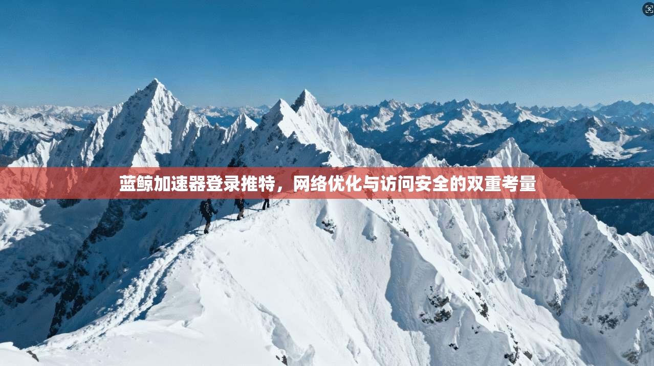 蓝鲸加速器登录推特，网络优化与访问安全的双重考量