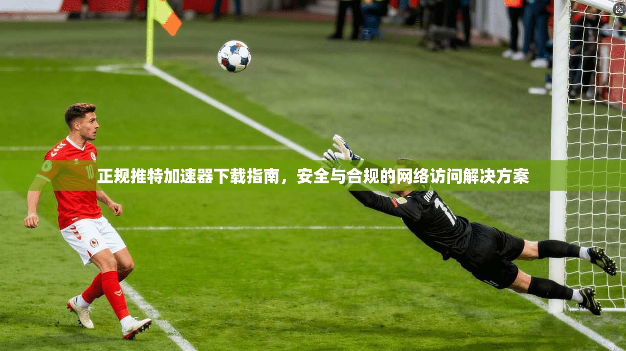正规推特加速器下载指南，安全与合规的网络访问解决方案