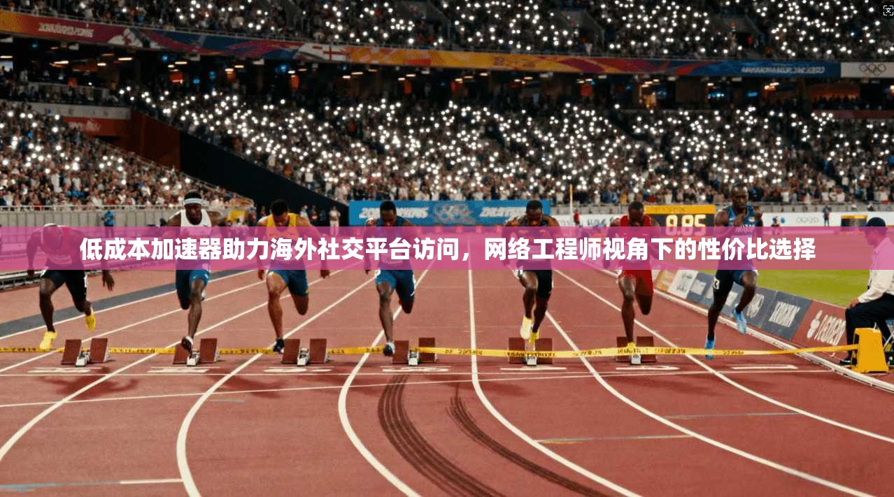 低成本加速器助力海外社交平台访问，网络工程师视角下的性价比选择