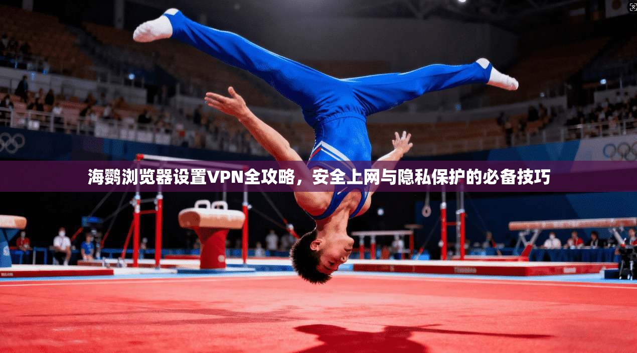海鹦浏览器设置VPN全攻略，安全上网与隐私保护的必备技巧