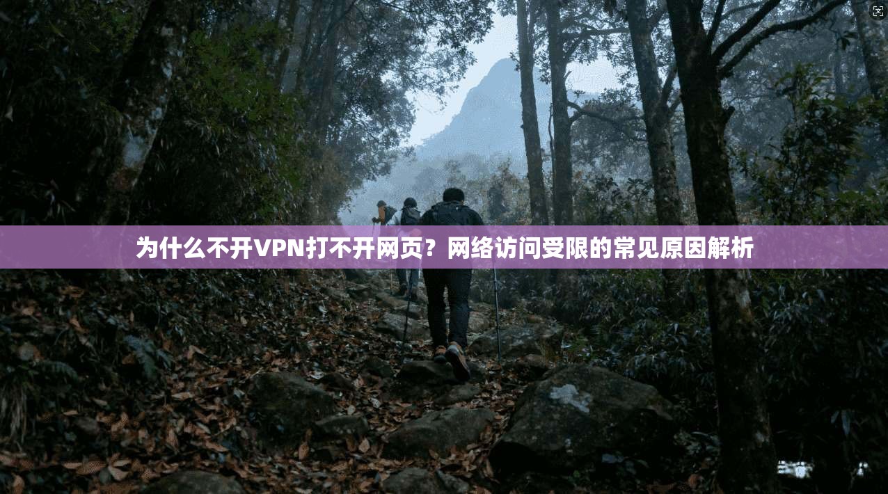 为什么不开VPN打不开网页？网络访问受限的常见原因解析