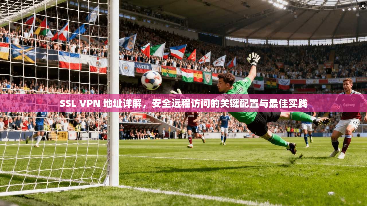 SSL VPN 地址详解，安全远程访问的关键配置与最佳实践