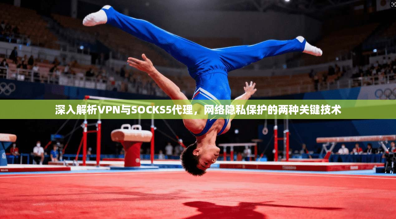 深入解析VPN与SOCKS5代理，网络隐私保护的两种关键技术