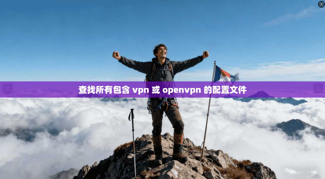 查找所有包含 vpn 或 openvpn 的配置文件