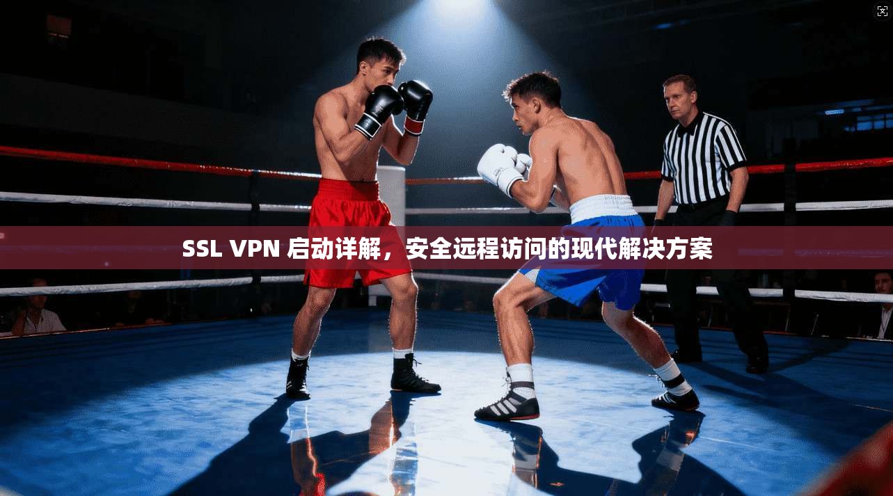 SSL VPN 启动详解，安全远程访问的现代解决方案