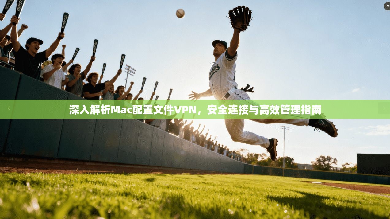 深入解析Mac配置文件VPN，安全连接与高效管理指南