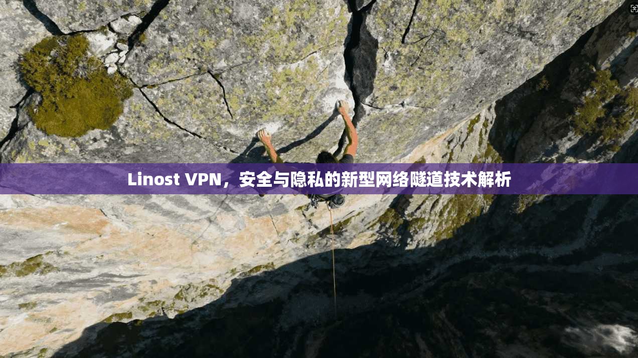 Linost VPN，安全与隐私的新型网络隧道技术解析