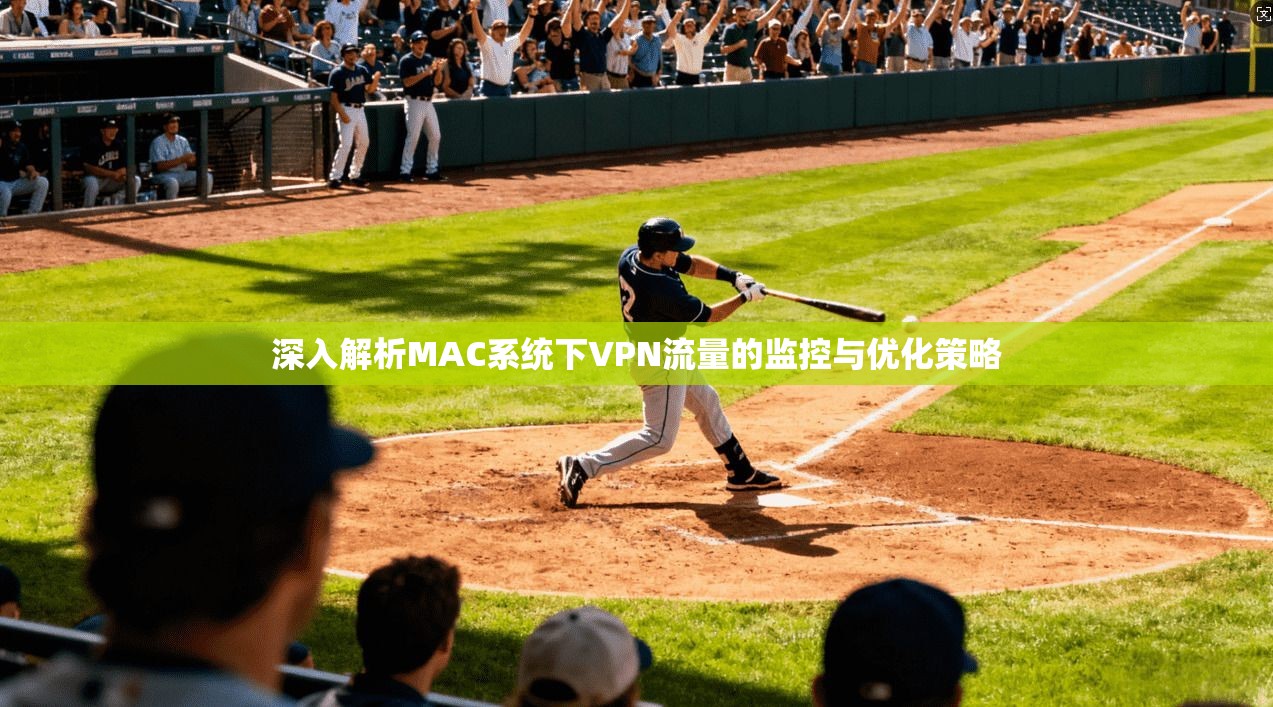 深入解析MAC系统下VPN流量的监控与优化策略
