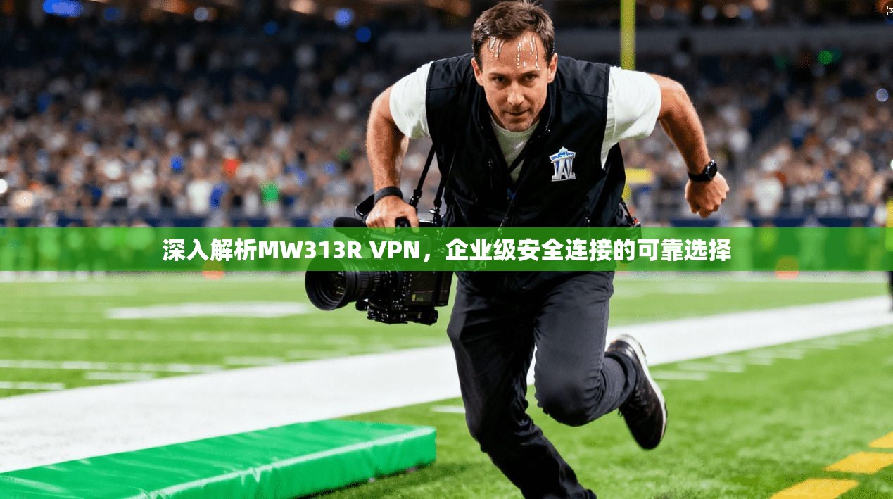 深入解析MW313R VPN，企业级安全连接的可靠选择