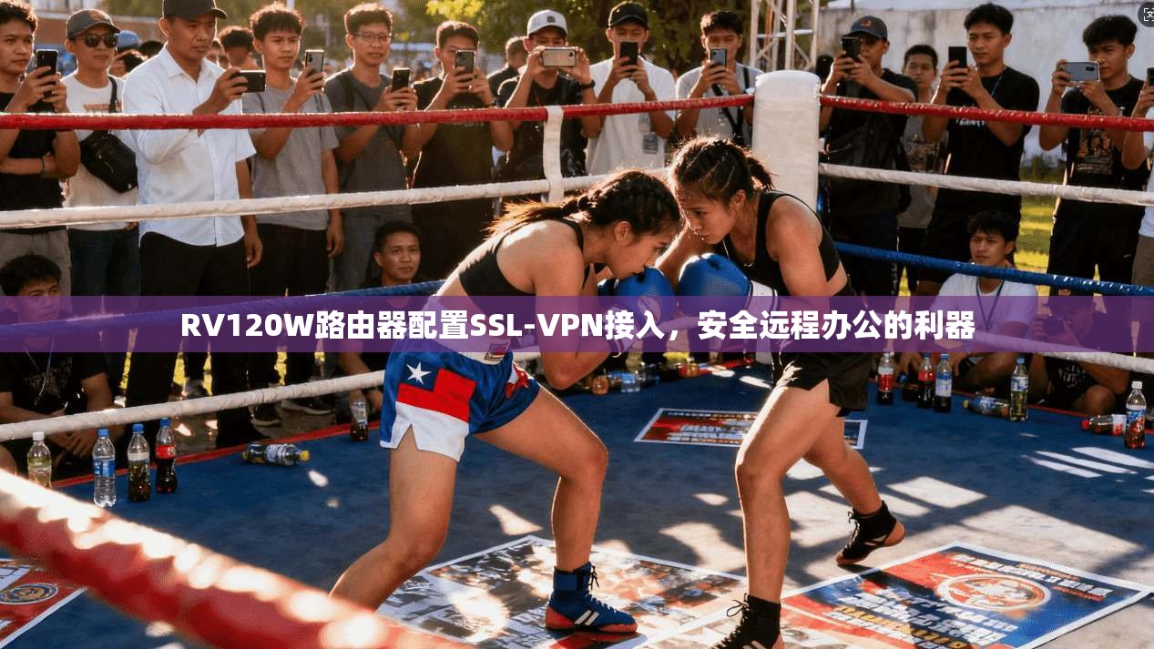 RV120W路由器配置SSL-VPN接入，安全远程办公的利器