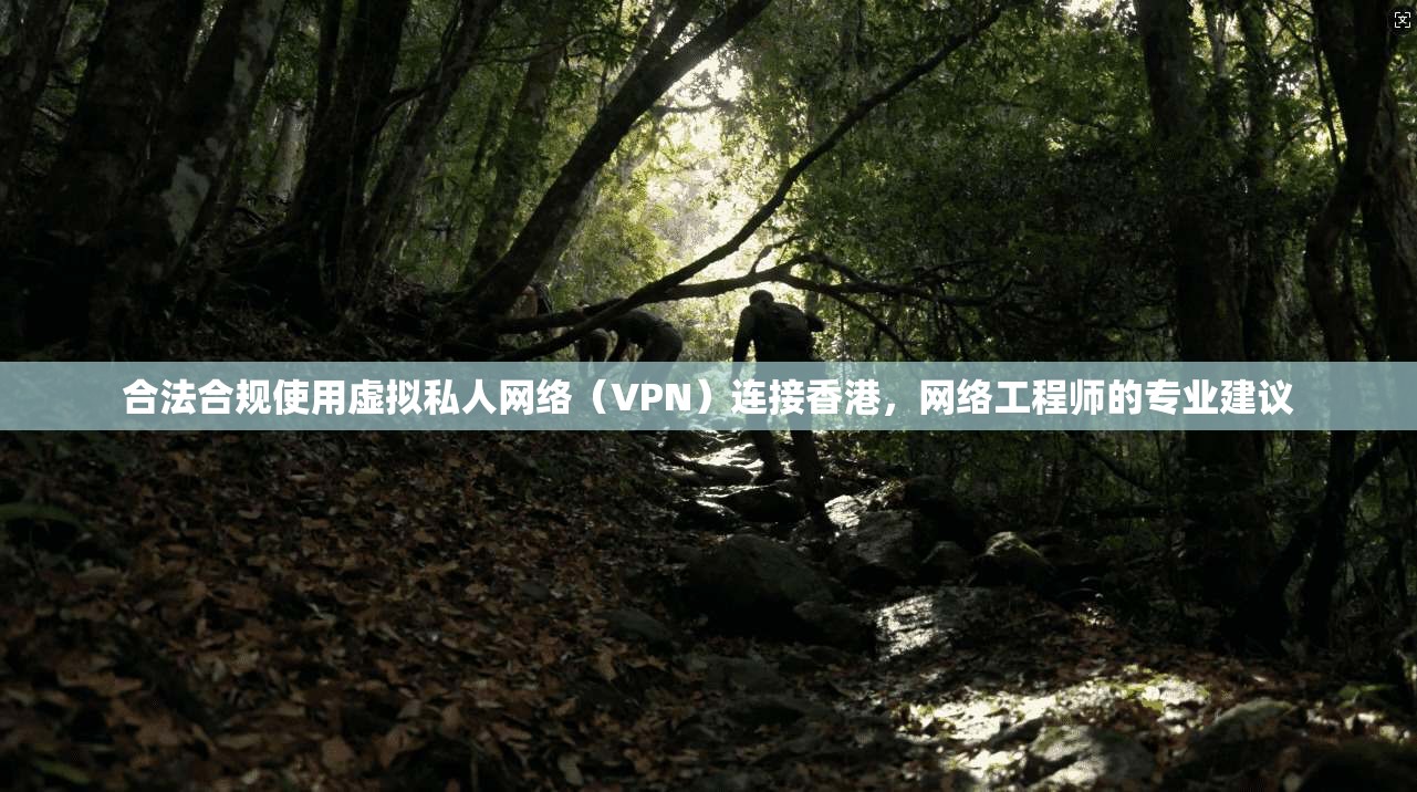 合法合规使用虚拟私人网络（VPN）连接香港，网络工程师的专业建议
