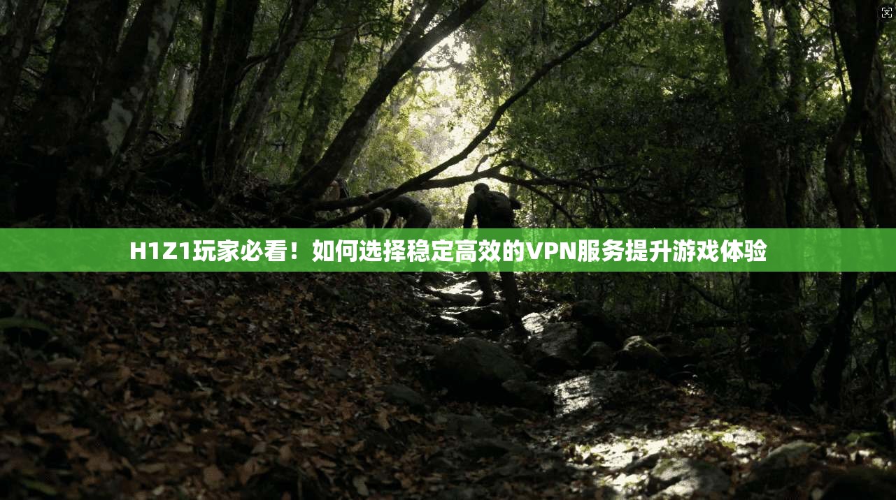 H1Z1玩家必看!如何选择稳定高效的VPN服务提升游戏体验 H1Z1玩家必看!如何选择稳定高效的VPN服务提升游戏体验