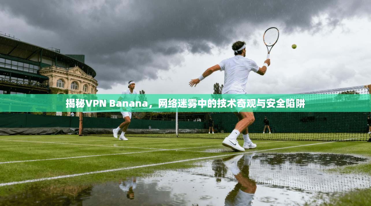 揭秘VPN Banana，网络迷雾中的技术奇观与安全陷阱