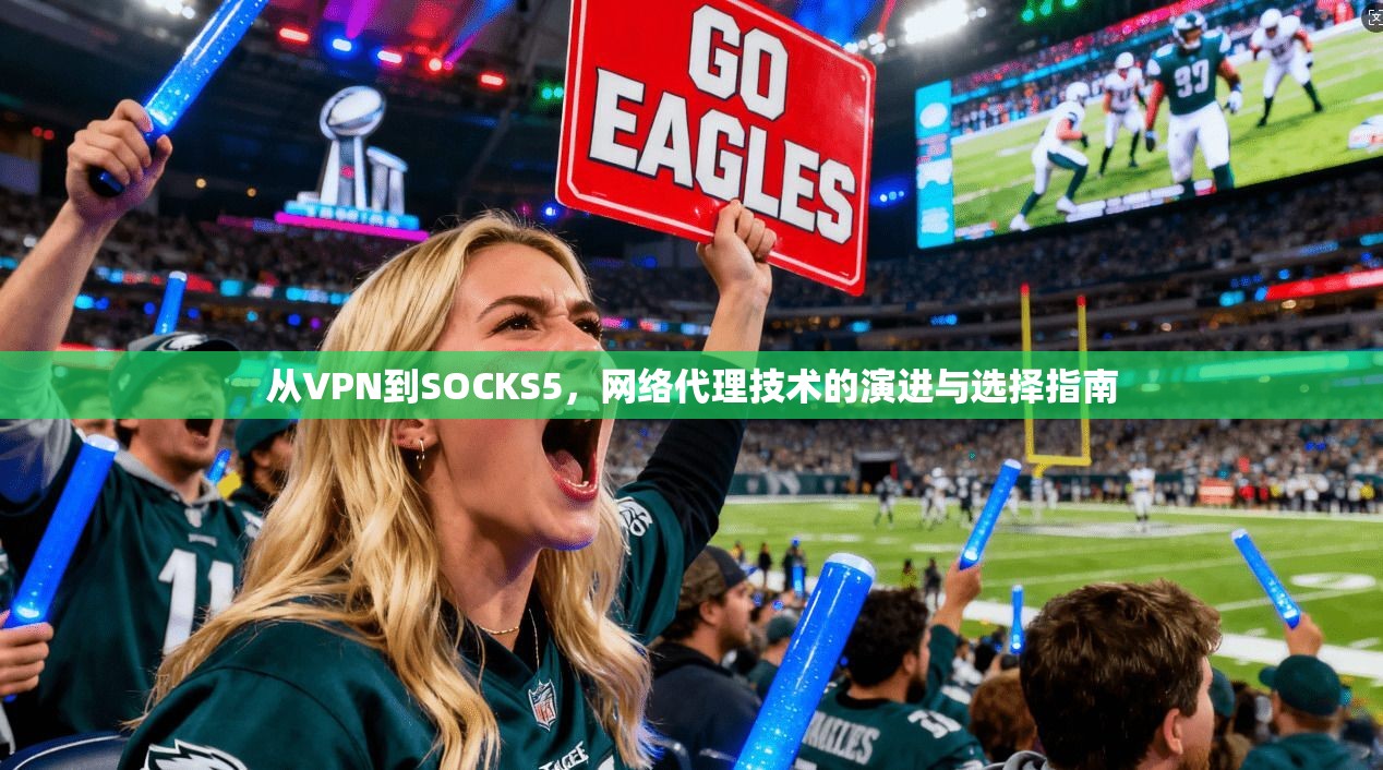 从VPN到SOCKS5,网络代理技术的演进与选择指南 从VPN到SOCKS5,网络代理技术的演进与选择指南