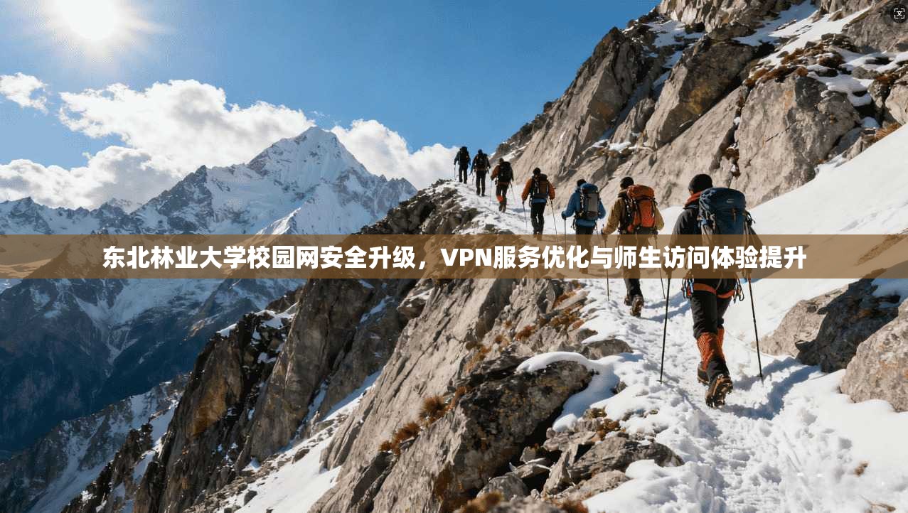 东北林业大学校园网安全升级,VPN服务优化与师生访问体验提升 东北林业大学校园网安全升级,VPN服务优化与师生访问体验提升