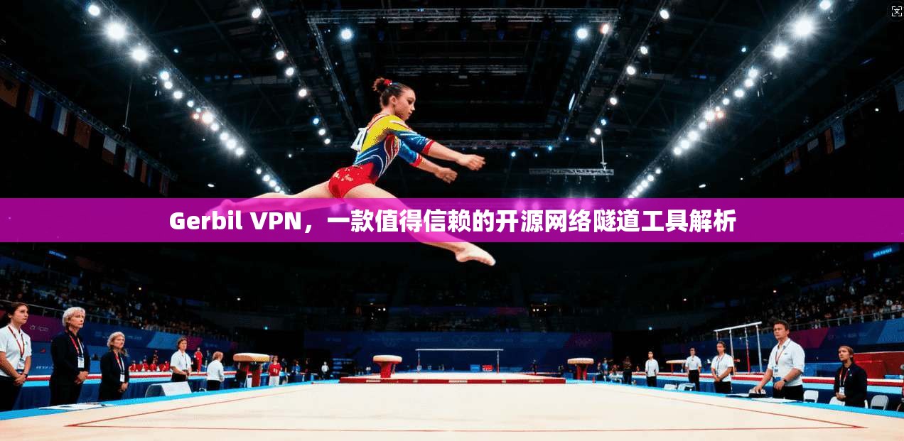 Gerbil VPN，一款值得信赖的开源网络隧道工具解析