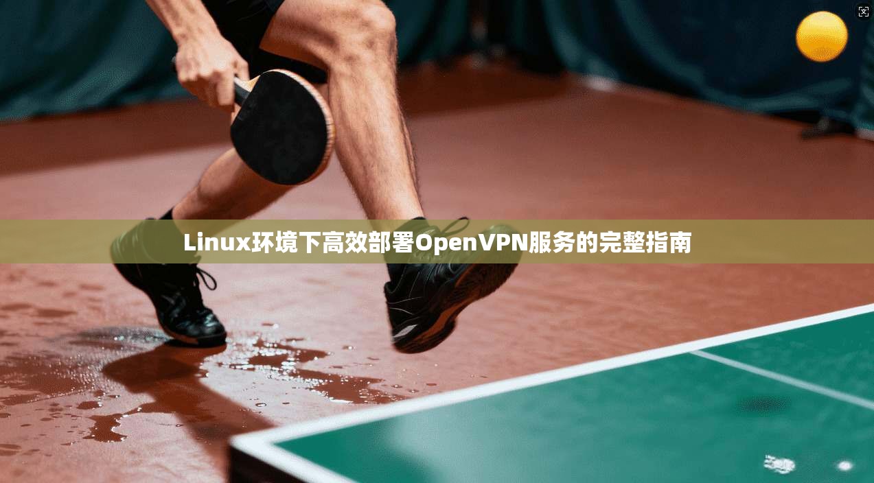 Linux环境下高效部署OpenVPN服务的完整指南