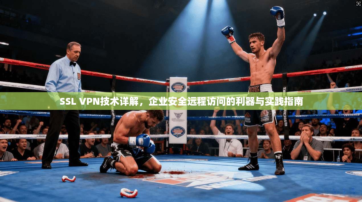 SSL VPN技术详解,企业安全远程访问的利器与实践指南 SSL VPN技术详解,企业安全远程访问的利器与实践指南