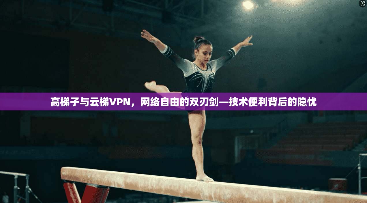 高梯子与云梯VPN，网络自由的双刃剑—技术便利背后的隐忧