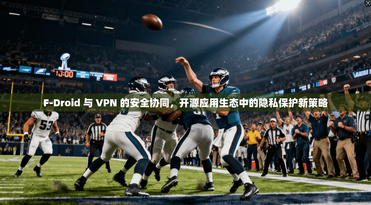F-Droid 与 VPN 的安全协同，开源应用生态中的隐私保护新策略