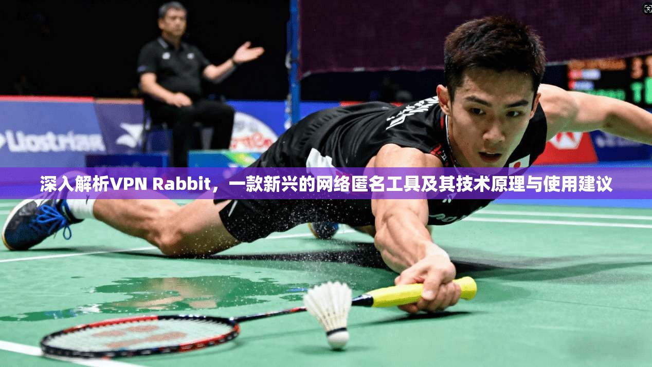 深入解析VPN Rabbit，一款新兴的网络匿名工具及其技术原理与使用建议