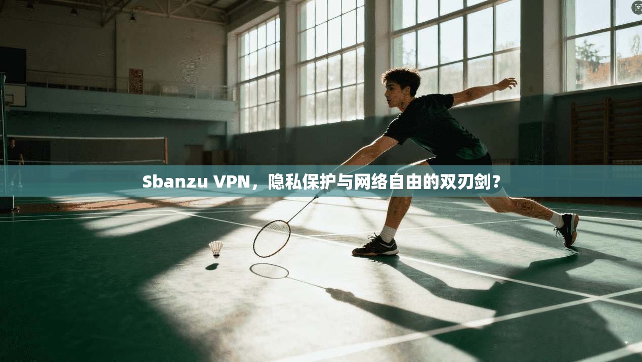 Sbanzu VPN，隐私保护与网络自由的双刃剑？