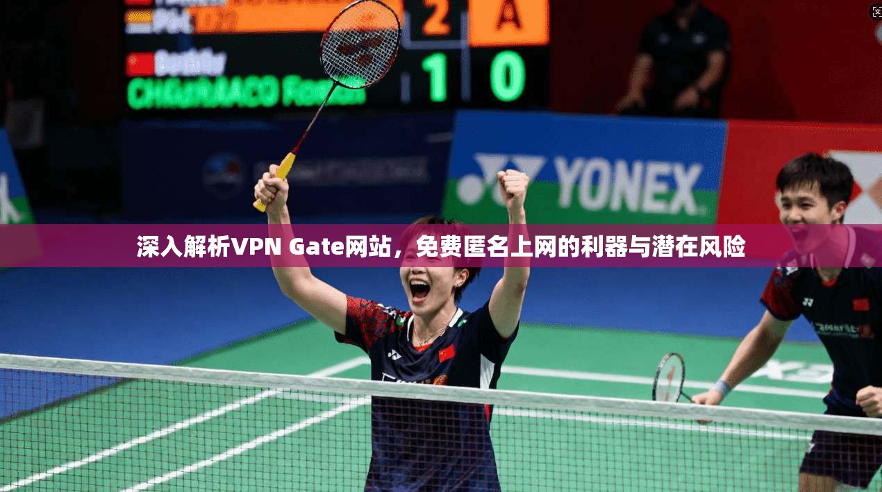 深入解析VPN Gate网站,免费匿名上网的利器与潜在风险 深入解析VPN Gate网站,免费匿名上网的利器与潜在风险