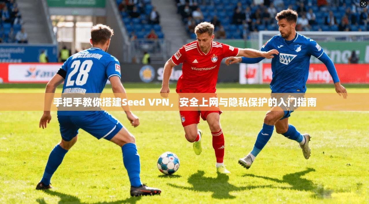 手把手教你搭建Seed VPN,安全上网与隐私保护的入门指南