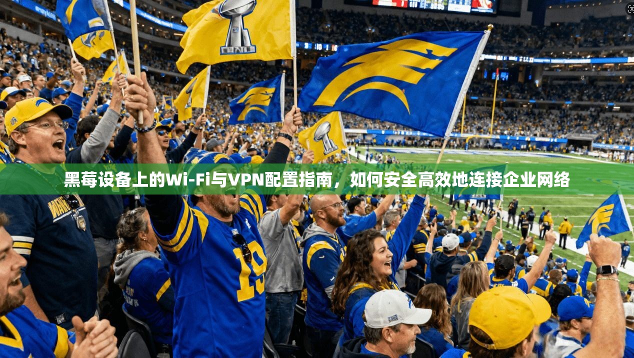 黑莓设备上的Wi-Fi与VPN配置指南，如何安全高效地连接企业网络