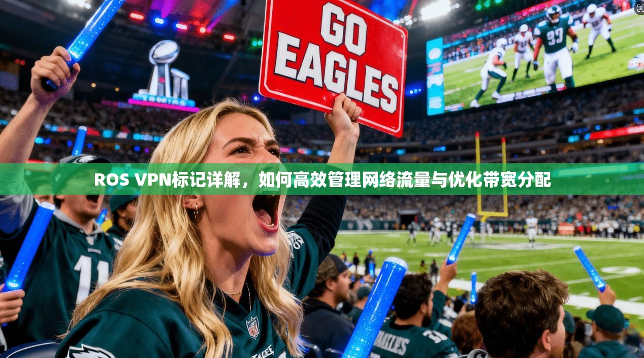 ROS VPN标记详解，如何高效管理网络流量与优化带宽分配