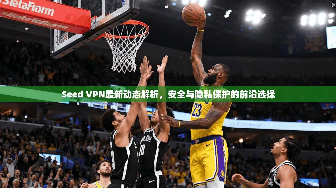 Seed VPN最新动态解析，安全与隐私保护的前沿选择