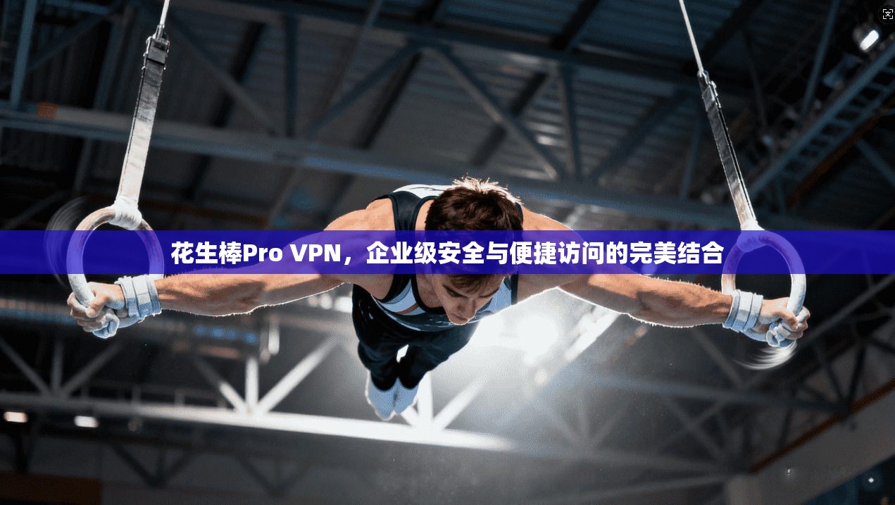花生棒Pro VPN，企业级安全与便捷访问的完美结合
