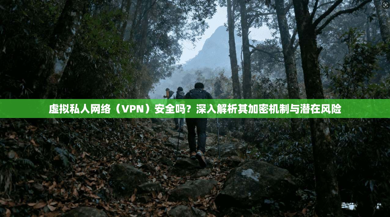 虚拟私人网络（VPN）安全吗？深入解析其加密机制与潜在风险