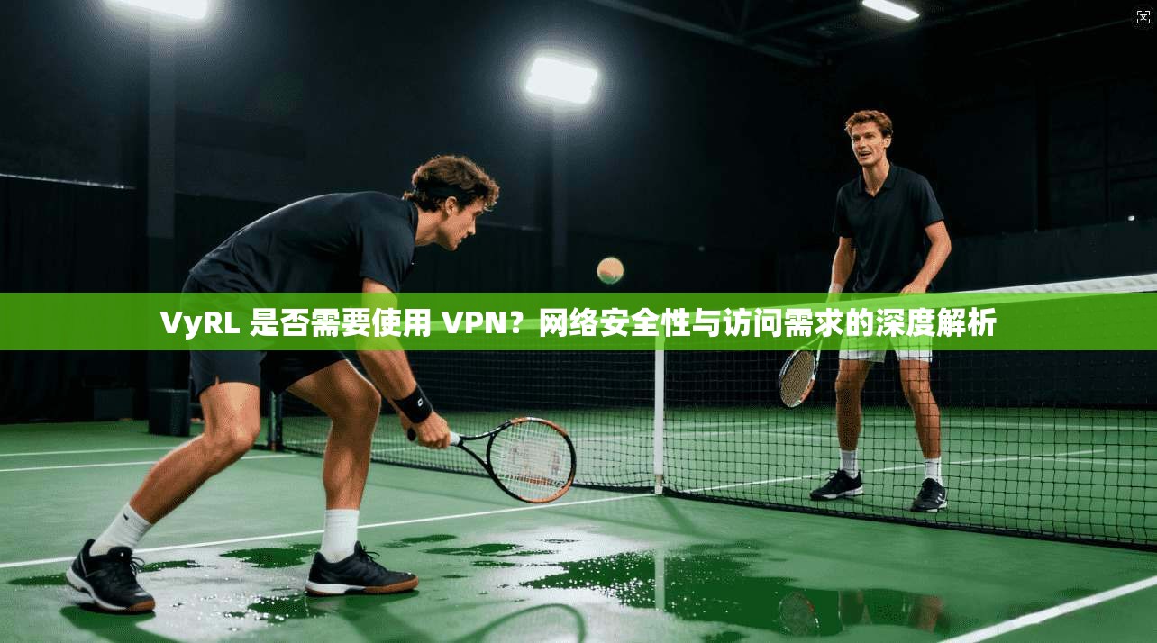 VyRL 是否需要使用 VPN？网络安全性与访问需求的深度解析