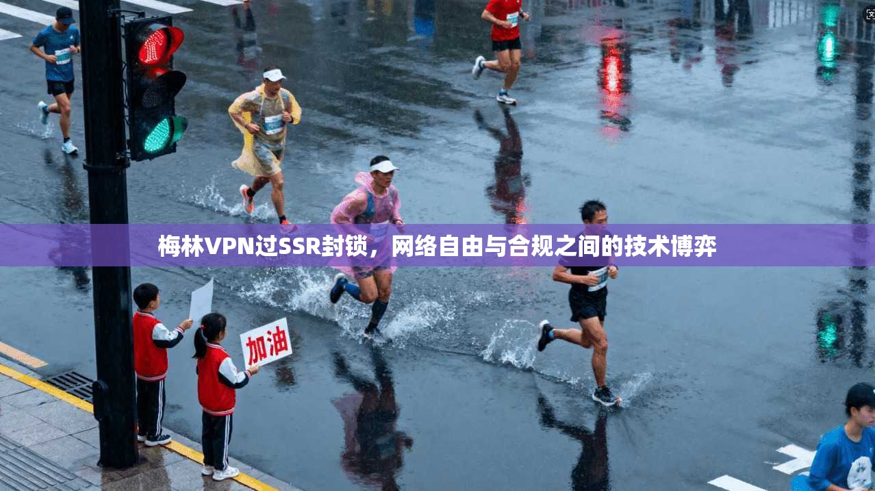 梅林VPN过SSR封锁，网络自由与合规之间的技术博弈