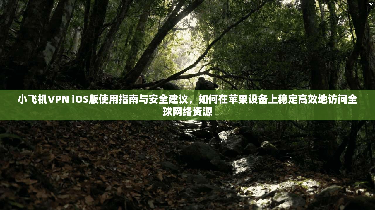 小飞机VPN iOS版使用指南与安全建议，如何在苹果设备上稳定高效地访问全球网络资源