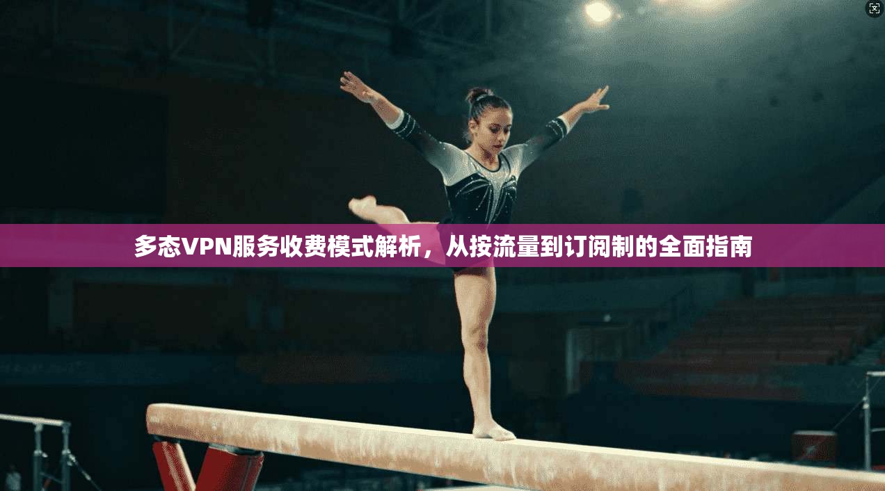 多态VPN服务收费模式解析,从按流量到订阅制的全面指南