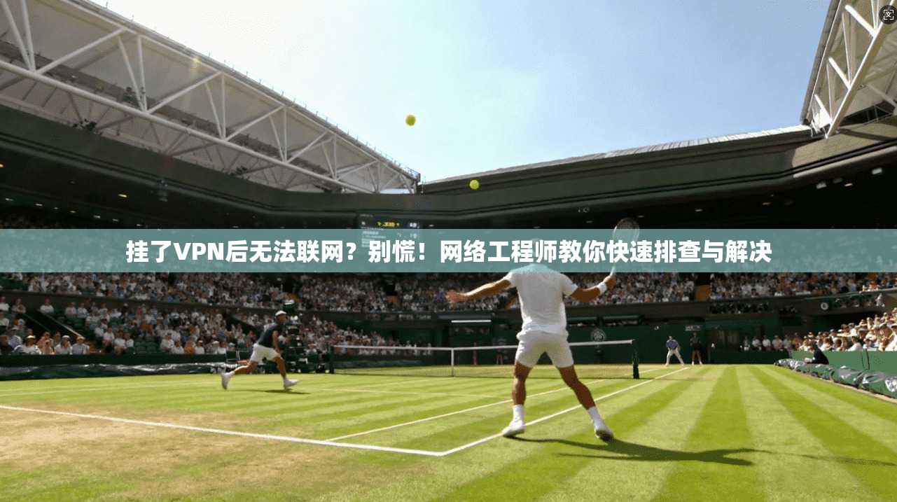 挂了VPN后无法联网?别慌!网络工程师教你快速排查与解决