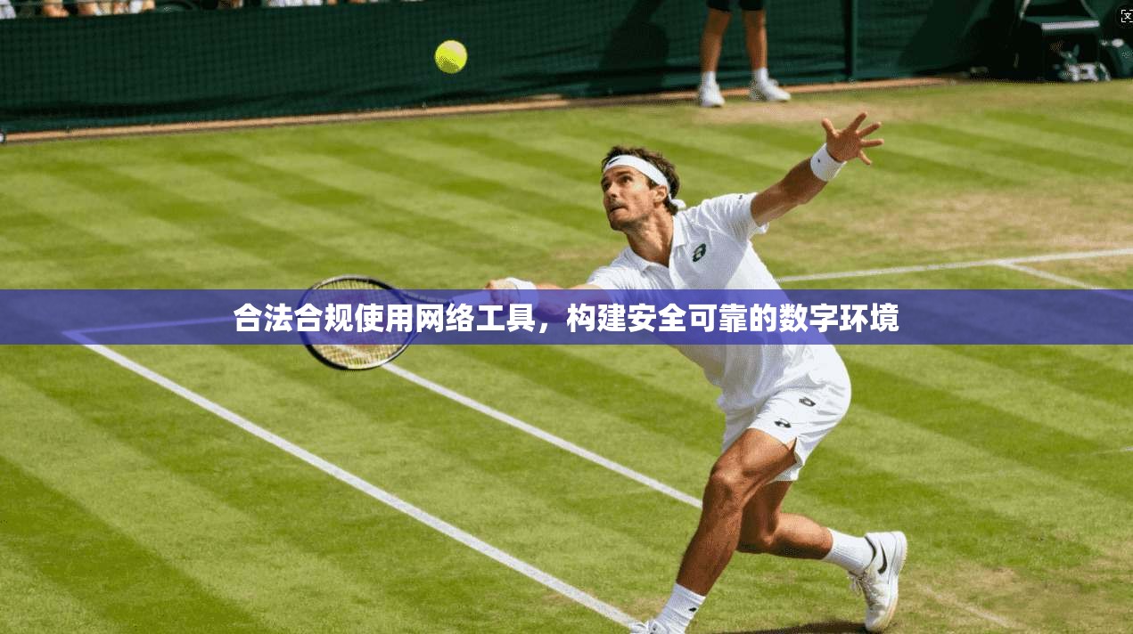 合法合规使用网络工具，构建安全可靠的数字环境