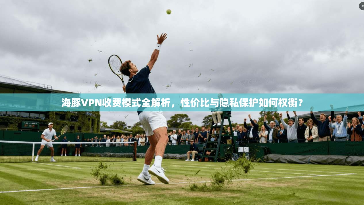 海豚VPN收费模式全解析，性价比与隐私保护如何权衡？