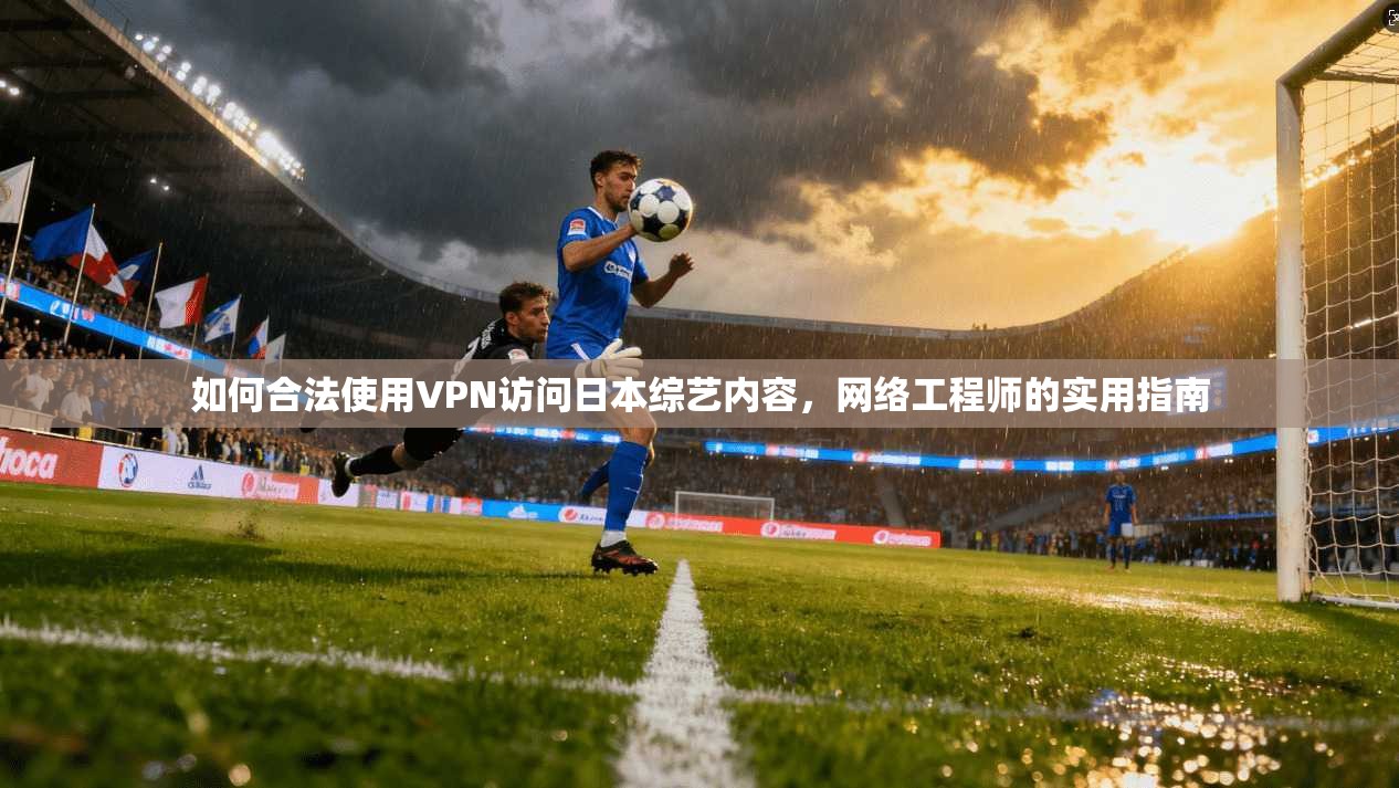 如何合法使用VPN访问日本综艺内容，网络工程师的实用指南